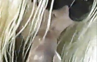 XXX QuestForOrgasm-caliente chica húngara en la masturbación madrastras follando con sus hijos erótica